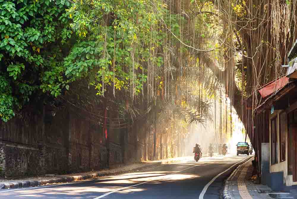 Curving street through Ubud town, Bali, Indonesia Road in Ubud with motorcycles