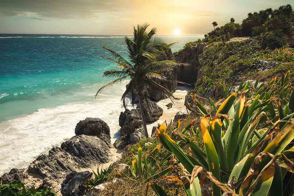 Tulum for digital nomads Tulum beach with palm tree, best place for digital nomad