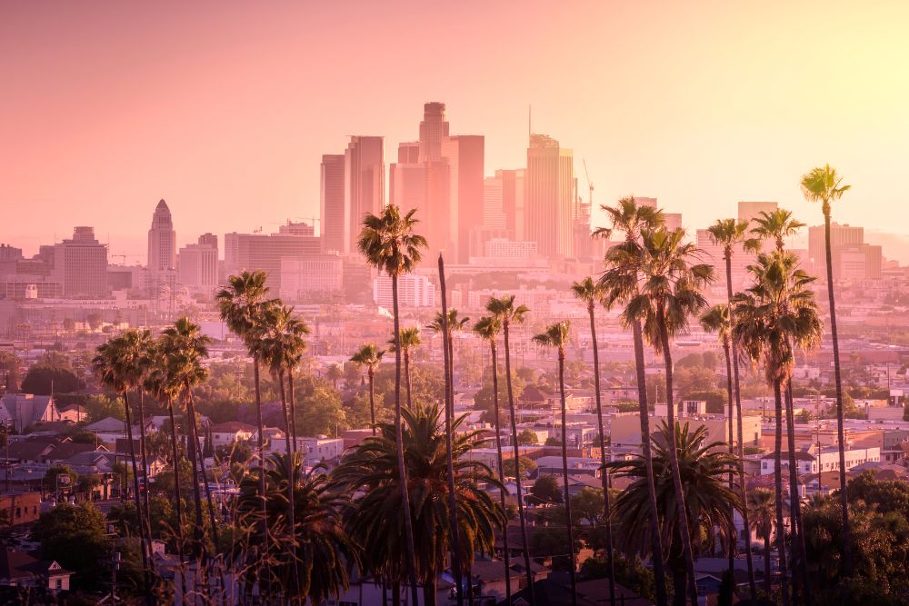 los-angeles Los Angeles downtown with palm trees business travel destinations los angeles