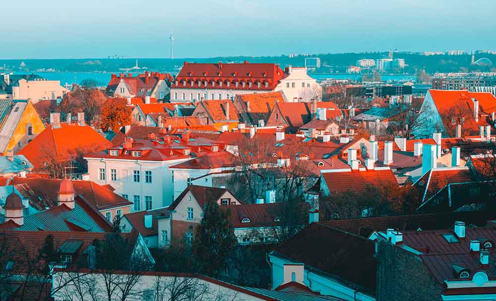 Tallinn for digital nomads View of red tiled roofs in Tallinn