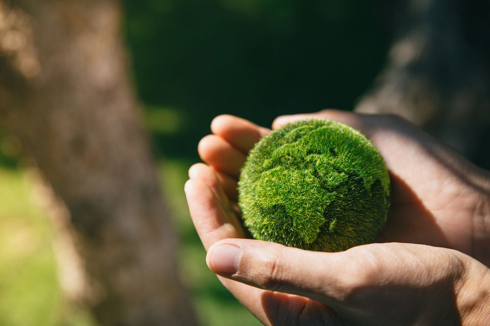 Hand,Of,Human,Holding,Earth,At,Garden,In,Morning,,Ecology Hands holding grass-covered globe